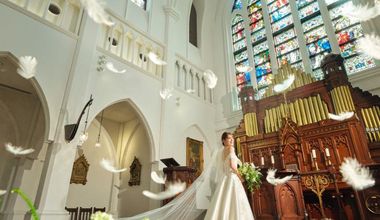 注目の季節!AUTAMNプラン【秋婚】2026年9月~11月検討の方