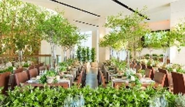 【組数限定】内容充実!19.8万円特別プラン