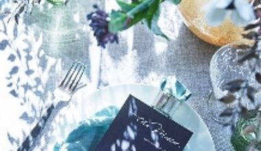 【30名の場合】\74万円分特典/少人数婚プラン