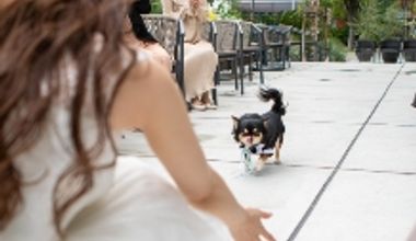 【憧れのペット婚プラン◆リングドッグOK】最大120万特典《60名301万→185万》大切な家族と叶える結婚式