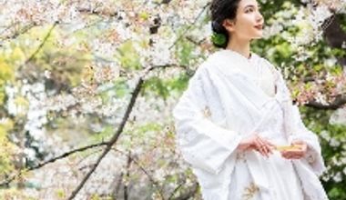 【27年1月~3月】今、特別お得な早春プラン♪50名 250万円