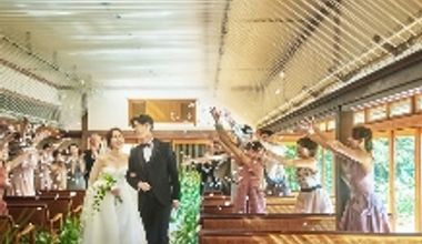 【2026年9月】\50名 48万円分特典/更に!最大10万円分の演出特典プレゼントのお得プラン