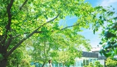 【2027年3~5月】\60名59万円分特典/人気な春を先取り!スプリングウェディングプラン☆