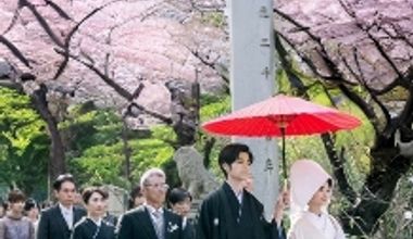 【2026年10月~2027年3月迄】50名312万円→260万円 直近限定プラン