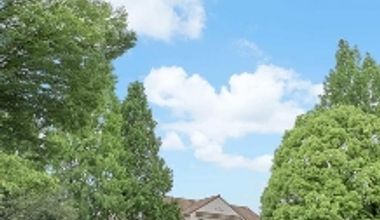 ■2026年7月~8月■【自己負担0円】深緑の夏シーズンでお得に叶える!40名160万円!