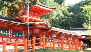 <通年プラン>春日大社挙式プラン