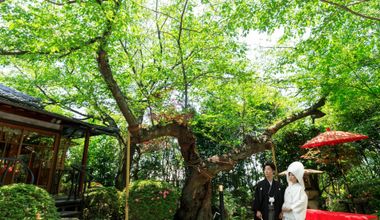 【2027年4月〜5月|50名272万円】麗らかな春婚プラン<最大37.5万円特典>