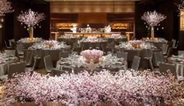 【2027年3月限定春プラン】気候の良い春シーズンに新プランが早くも登場!「2027 Spring Plan」