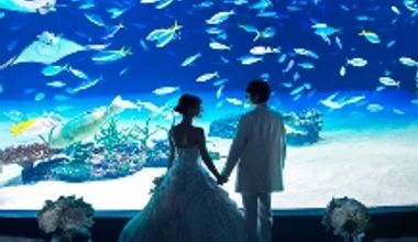 【AQUA&SKYプラン】貸切サンシャイン水族館挙式 ★選べる 展望スカイレストランでの披露宴♪