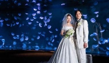 【水族館×フォトウエディングプラン】夢の貸切!日本最大級くらげ水槽「海月空感」でもお写真撮り放題