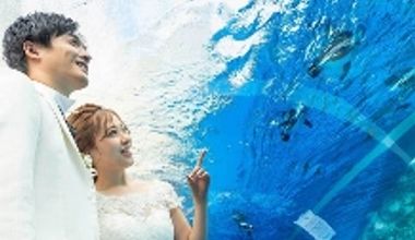 【今ならお得!2027年春婚プラン】2027年3~4月対象 \水族館挙式&パーティ/賢く叶うプラン