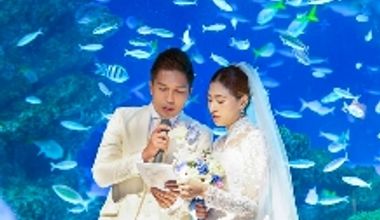 【今ならお得!2026年夏~秋】6・7・9・10月対象 \水族館挙式&パーティ/賢く素敵に叶うプラン