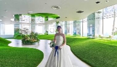 【展望台×フォトウエディングプラン】サンシャインてんぼうパークを貸切!時間内お写真撮り放題