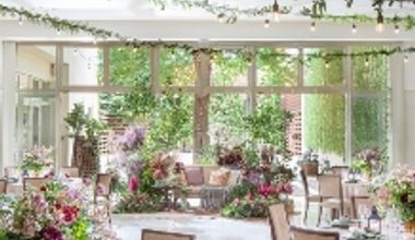 【100名様】アンジェリークプラン