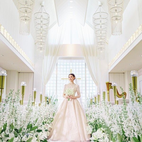 クチコミで好評★10大特典付×豪華試食