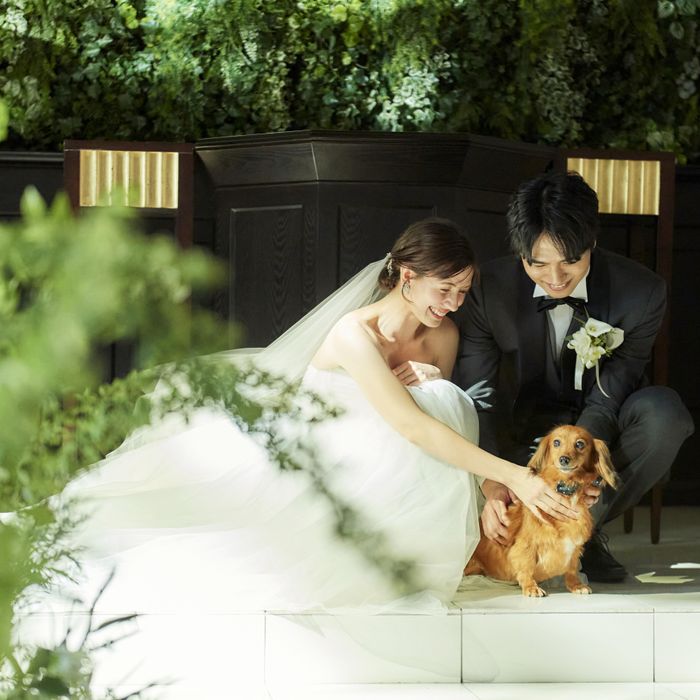 パパママ婚・和婚・ペット婚|最大140万円優待×贅沢試食×スタイル別の安心相談会