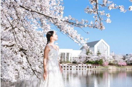 【2件目以降の見学】贅沢料理試食×見積り比較で特典UPフェア