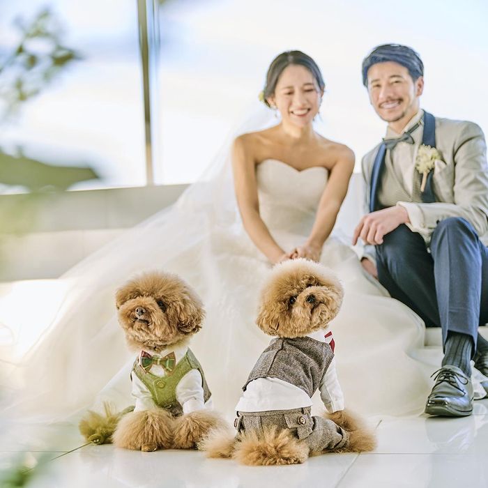 \リングドッグ/愛犬と叶える結婚式×貸切ガーデンParty♪