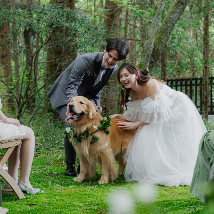 ワンちゃん婚【チャペル&披露宴会場&ロビーも1日中ずっと一緒にOK♪】愛犬と貸切ウェディング相談会