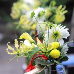 【持込完全無料】本当に必要なものだけの負担で叶う和婚