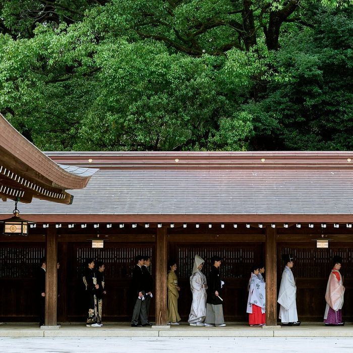 【明治神宮の杜を体感】明治神宮見学×レストラン食事券付フェア