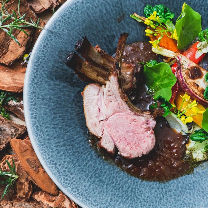 豪華メイン2種類!コース食べ比べ試食会(A5和牛×鮮魚のブイヤベース)