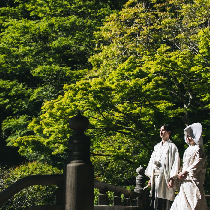 【和装もドレスも合う】選べる演出&コーディネート体験×5品試食