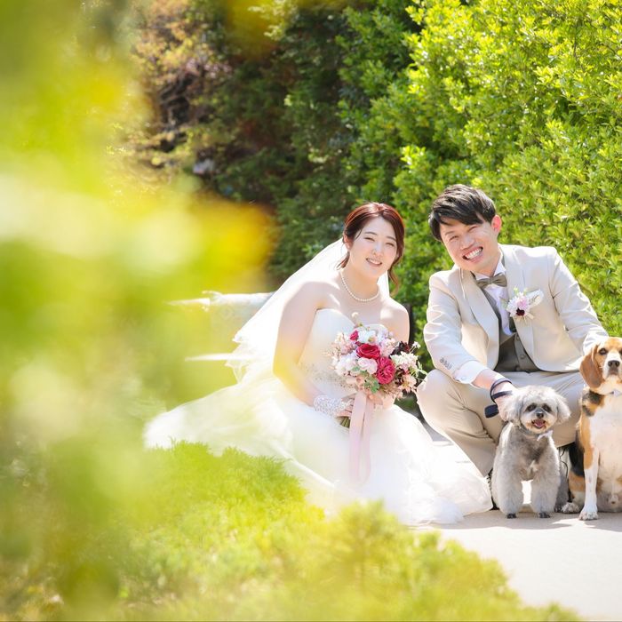 【ペットは家族♪】ペットと一緒に叶える結婚式じっくり相談会