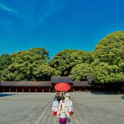 \和婚プレミアムフェア/伝統の神前式&神社婚相談会×豪華和洋試食