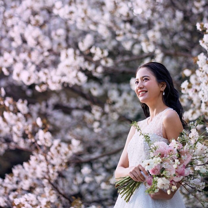 【初見学におすすめ】和も洋も徹底相談 ※明治神宮の伝統体験会