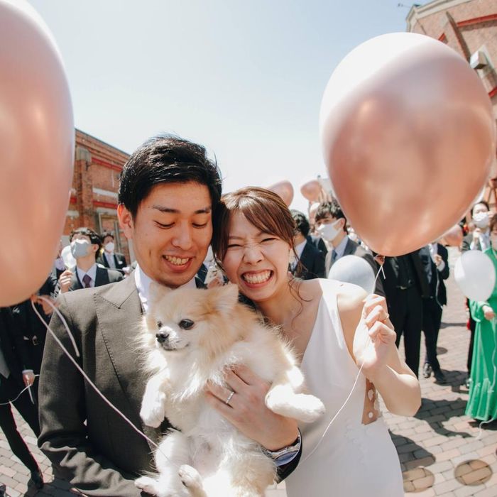 【8/17*クチコミ話題の豪華試食付】アカレンガの魅力まるわかりフェア