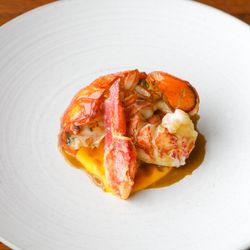 《1.5次会・After Party》オマール試食*カジュアルWD