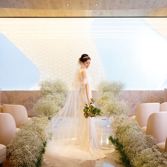 【挙式プレゼント】入場体験×2万円ハーフコース試食!人気No.1プレミアムフェア