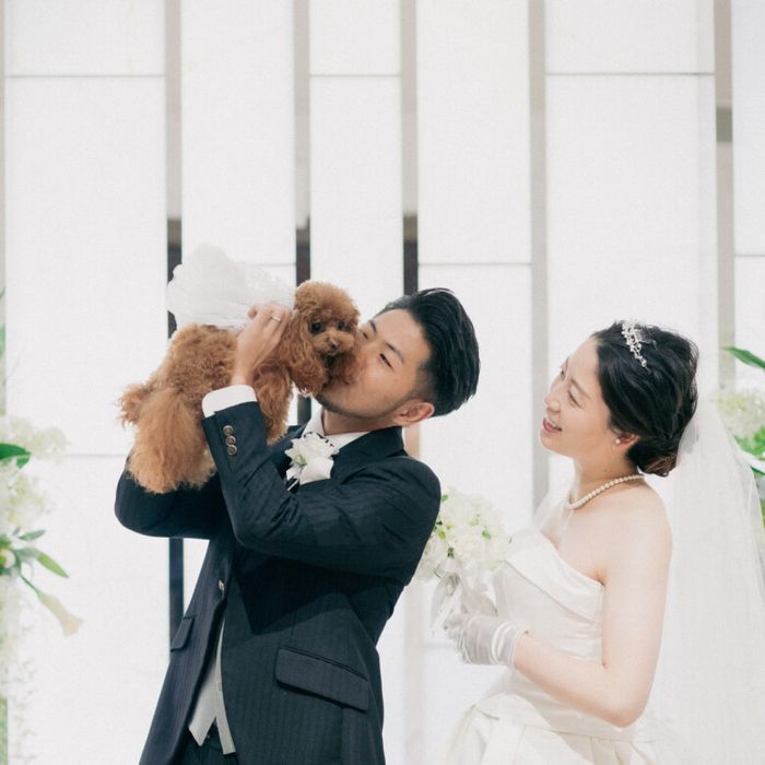 衣装アップグレード付きフォトウェディングフェア*