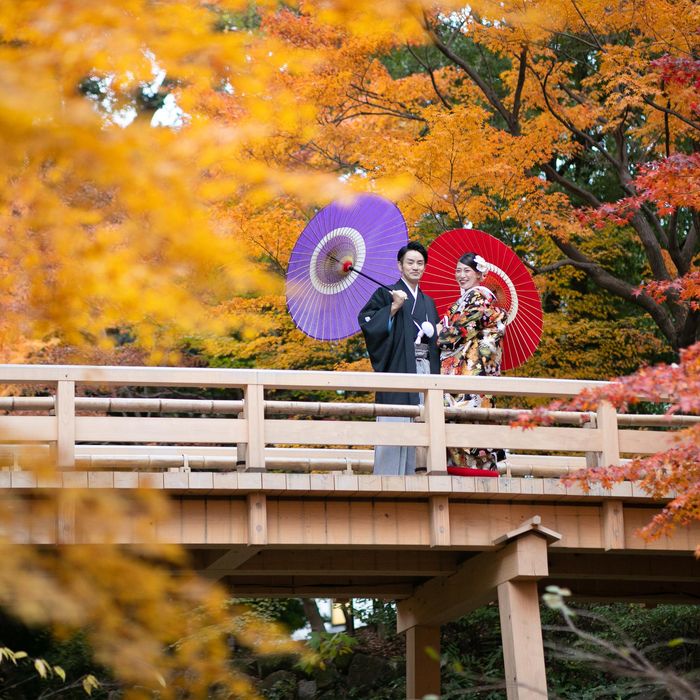 【10~12月限定*秋の挙式プレゼント】紅葉庭園*試食付き