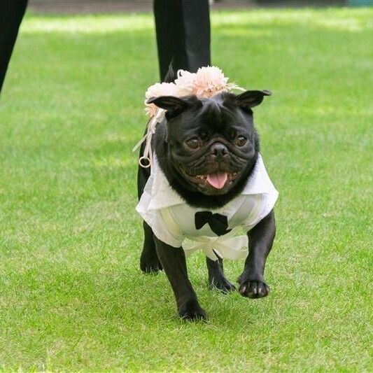 【大切な家族の一員と共に】ペットW相談会×自家製デザート試食