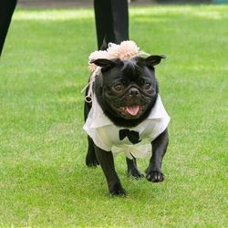 【大切な家族の一員と共に】ペットW相談会×自家製デザート試食