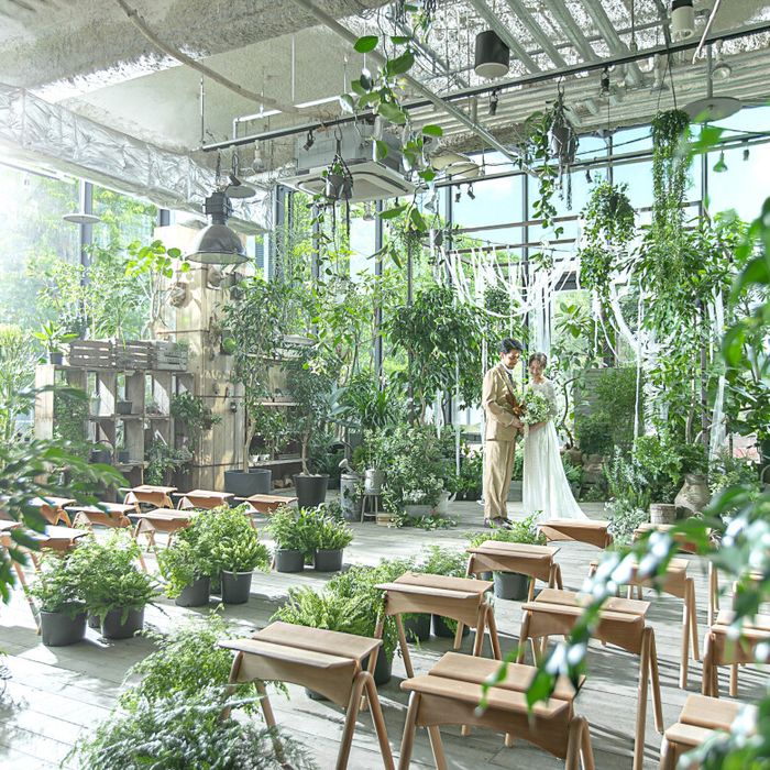 【60分完結*基本をサクッと】ドレス×クイック相談★特典付