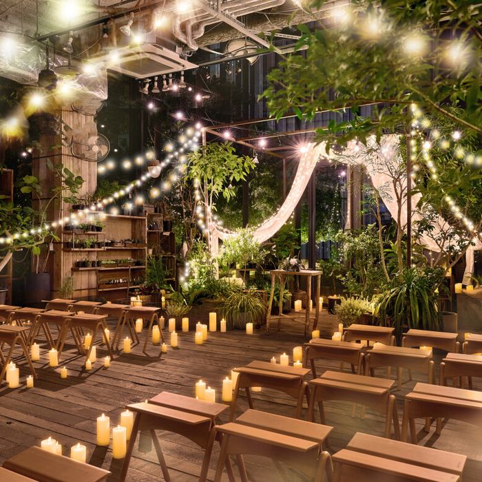 当日OK【全開放♪13大特典】最上階ガーデン&豪華試食×4.3万GIFT