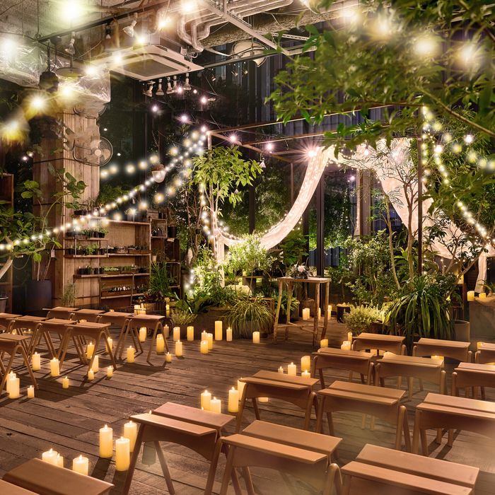 当日◎【全開放◆13大特典】最上階ガーデン×豪華試食*4.3万GIFT