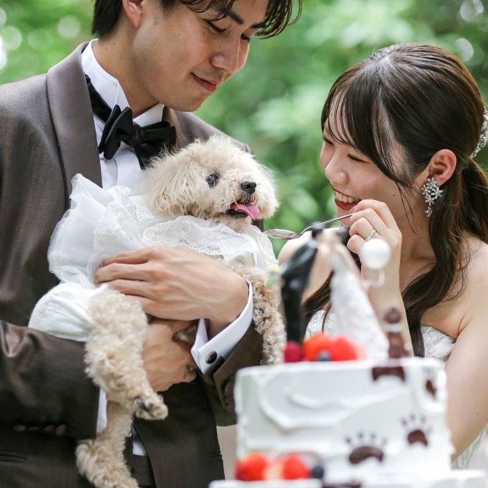 ★WeddingNews限定\ペット婚×ガーデンウェディング/挙式〜披露宴までずっと一緒に過ごせる◎安心ペット婚相談&感動チャペル入場体験付BIGフェア【1件目来館で豪華特典6万ギフト&150万特典】