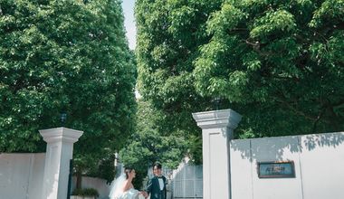 【2027年3月~6月】春限定_新緑と水音のTOPシーズン