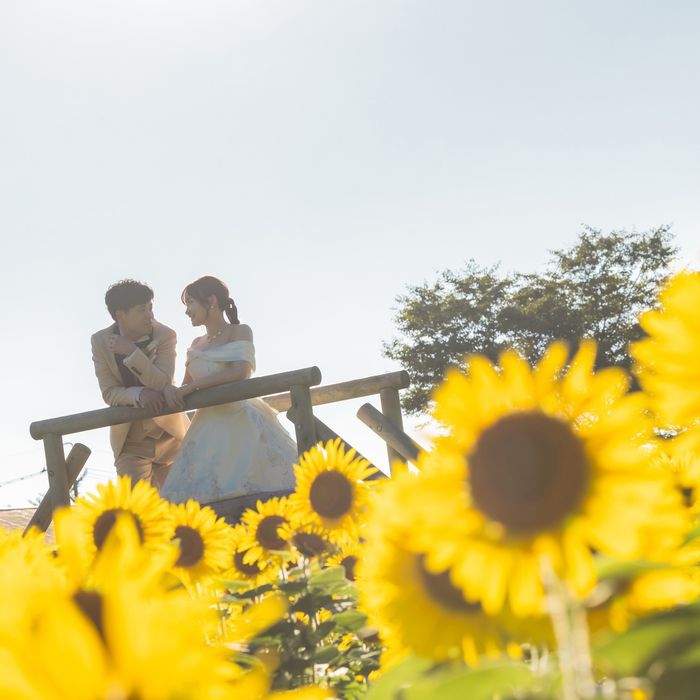 【夏だけの特別体験】サマーフォトウェディング相談会