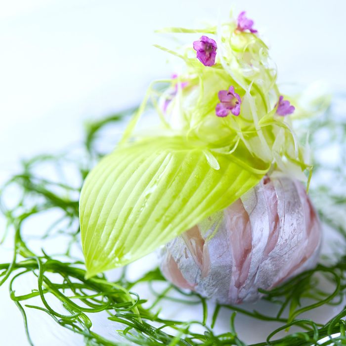 *◆料理フェス1位こだわり贅沢コース◆*春の美食&ドレス特典