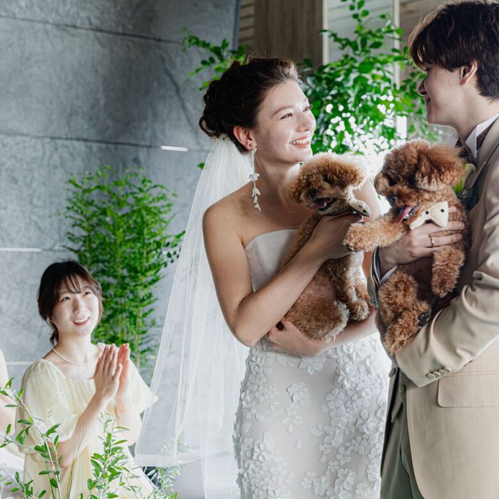 \ペットと一緒に/ワンちゃん料理特典付♪糸島フレンチ×360°オーシャンビューの魅力満載フェア