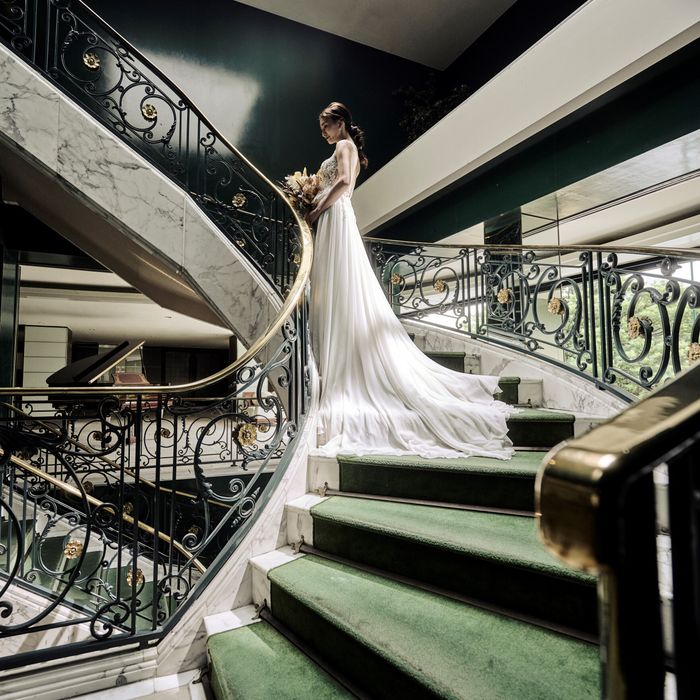 【定額制プランもあるから安心】試食×憧れのドレス試着体験