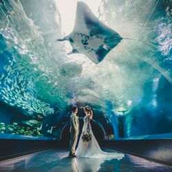 《フォトウェディング》9.3万円~叶う◎館内見学×相談会