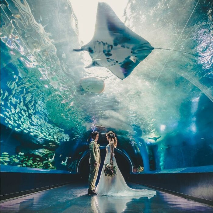 《フォトウェディング》9.3万円~叶う◎館内見学×相談会