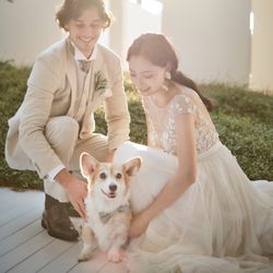 【ペット婚相談会】海辺の貸切邸宅で特別なひととき*試食付き