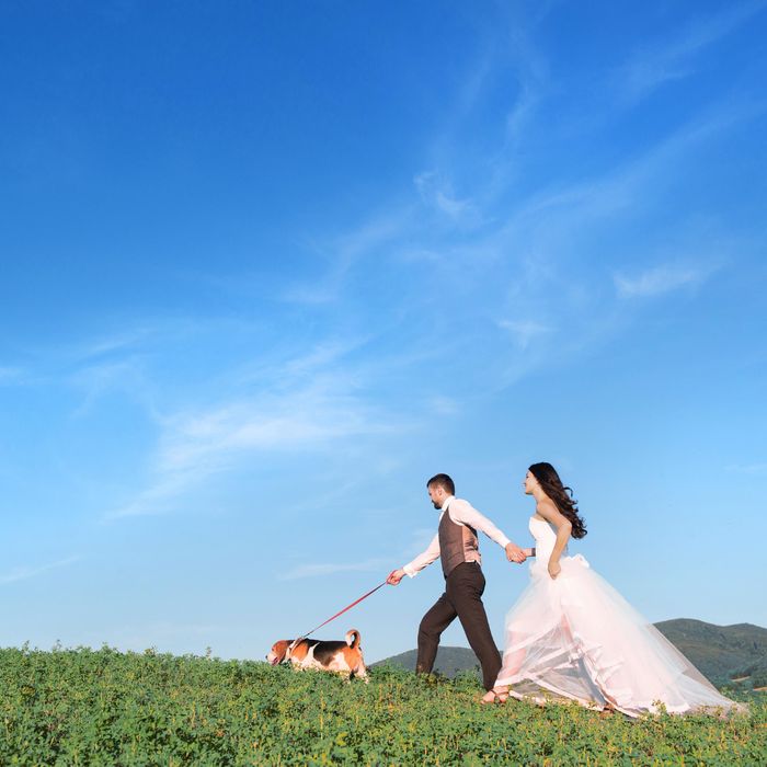 【ワンちゃんと一緒に結婚式を叶える】オーダーメイド*ペットウェディング相談会